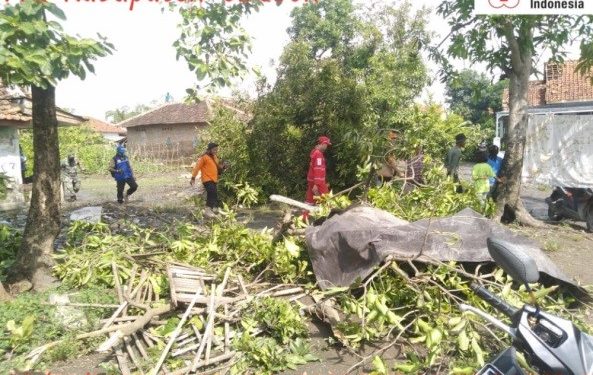 PMI Respon Bencana di Kab. Cirebon